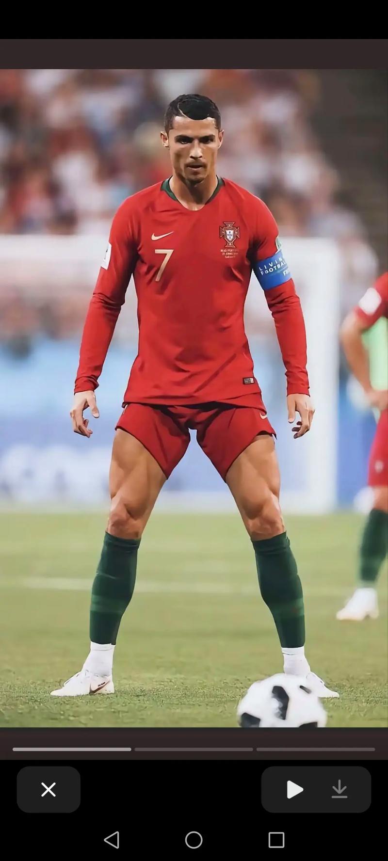 奎因的全面表现：数据背后的故事（数字之下的奎因：全方位表现解析）